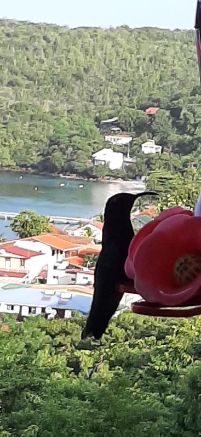 Appartement Colibri , Les Anses D 'Arlet エクステリア 写真
